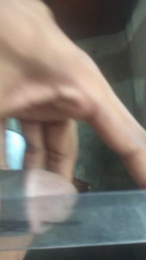 Dick Size 9cm