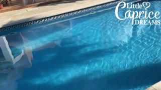 He creampie me at the HOTEL POOL - Little Caprice