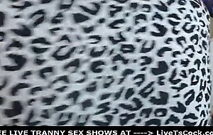 Busty tranny take turns in cock sucking with lover