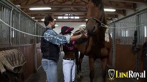 Stable boy bangs sexy brunette babe