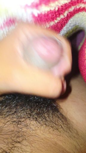 Indian black cock