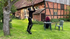 metal restraints outdoor
