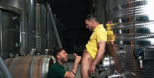 Wine and wonderful anal fucking with two hotties