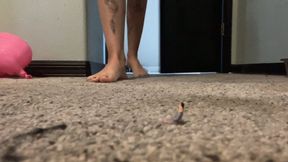 A tiny infestation