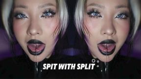 Spit with split