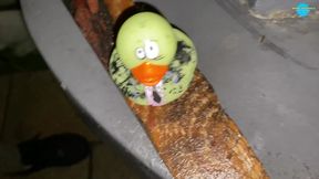 street girl humiliated into fucking herself with a wood saw!!