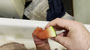 Hardcore masturbation with a watermelon: Ejimo Somo knows how to fuck food