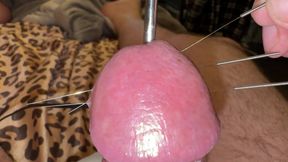Needles through the hard glans!