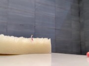 trapped in unaware giants sponge