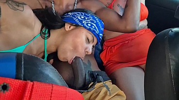 Sai com meus amigos na Bahia e dei pra eles no pelo no carro em movimento, quero nem saber.