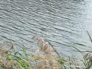 PUBLIC ON A BENCH. A SUNNY DAY A CUTE SNATCH