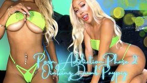 Porn Addiction Phase 2: Oinking Dumb Paypig