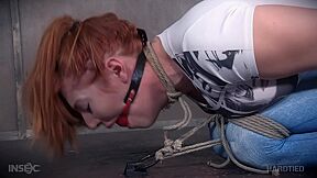 Fetish Bdsm Anal Dildo Play