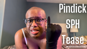 Pindick SPH Tease