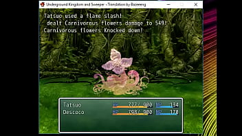 (  18 ) H RPG Games Underground Kingdom and Sweeper [ Eng.] #3