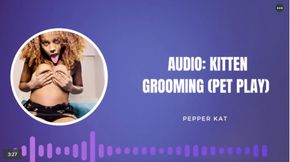 Audio: ASMR Kitten Grooming