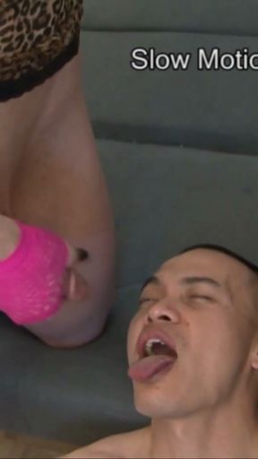 Transen verarschen freier doch er fickt sie trotzdem   Clip 3