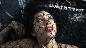 Caught in the Net