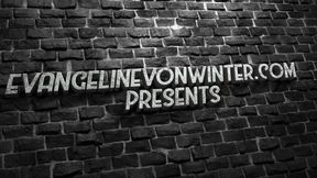 Realdolls Batgirl and Supergirl Get frozen in Place