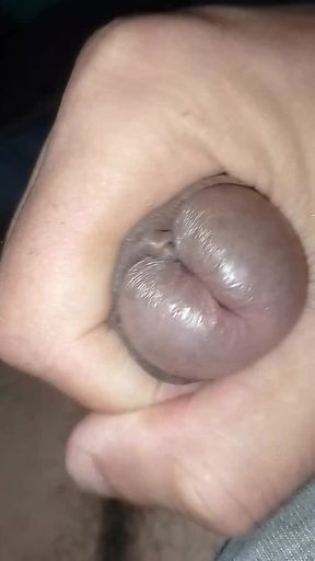 The head of the cock is thick.