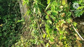 Jungle kam karne ke liye gwa hai