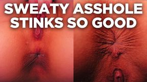 SWEATY ASSHOLE STINKS SO GOOD ASS WORSHIP JOI - HD MOV