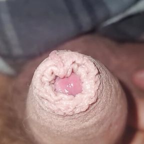 Wet small tiny dick