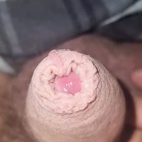 Wet small tiny dick