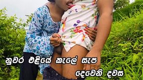 Risky Jungle Threesome: Young Sri Lanka Teenies Get Wild with Daddy's Dick&#x1F32D;