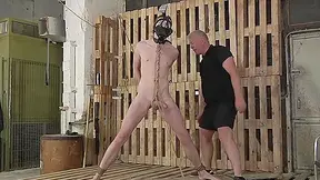 A Lesson In Kink For Hung Blake - Sebastian Kane, Blake Harvey And Hershel Savage