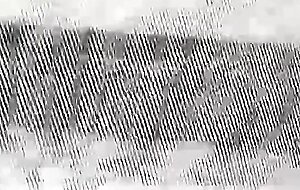 JockPussy - Scruffy jock top barebacks sexy trans bottom boy