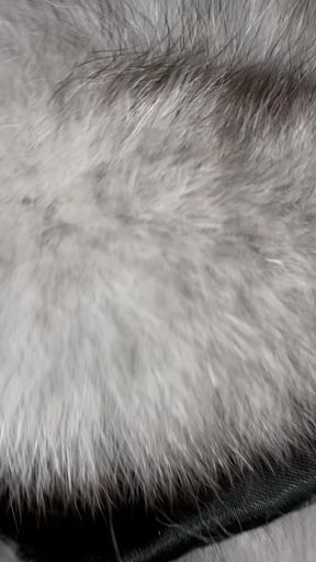 Bluefox