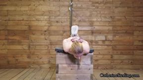 Cthr 0121 111 Catherine Sterling Bastinado Custom