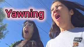 We bought bread and we yawned and yawned
