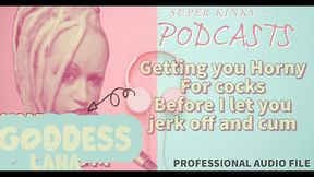 kinky podcast 13 getting you horny for cocks before i let you jerk off and cum