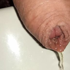 Close up uncutted pissing cock