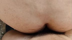 NANDO REY breeding NICHOLAS CHEVALIER at a cruising area