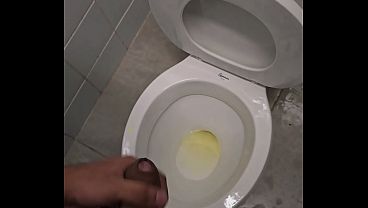Mijo em banheiro publico