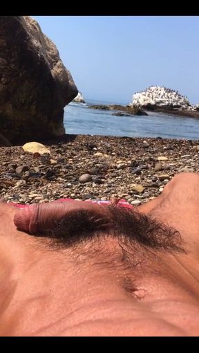 Beach Day