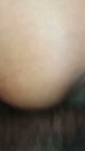 Doggy's Really Fun With Sri Lanka Homemade   Clip 3