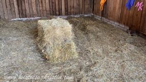 #StrapOn in a bikini #Analride on the straw bale