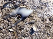Piss on my cum in the abandoned place