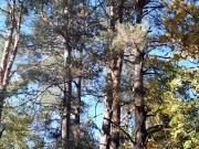 Sex after party - Lesbian_illusion