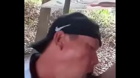 Việt Nam b&uacute_ cu