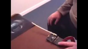 Mouse trap caner