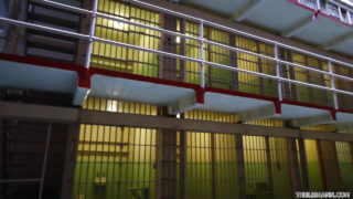 Цицорести зрелки Лиза Ан и Скин Даймънд двойно проникнаха от бибиси в интензивен хардкор секс