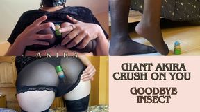 Giant Akira Crush on You - Masked Part 2