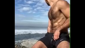 Macho se pajea al aire libre