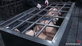 Astonishing Sex Movie Blonde Hottest Show