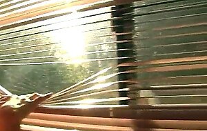 Asian pornstar hung lo fucking darryl hanah